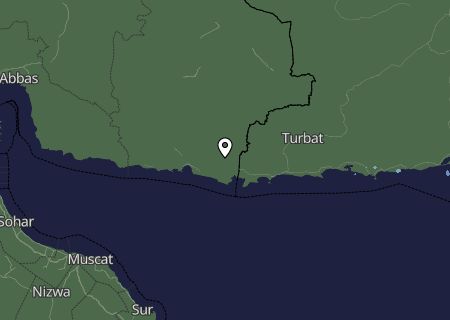 Niederschlagsprognose