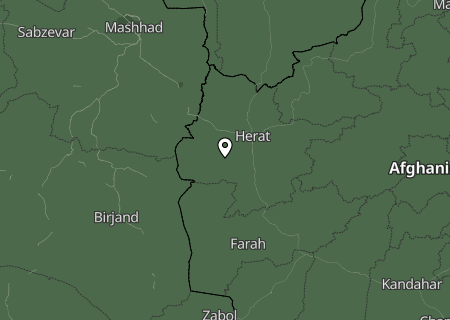 Niederschlagsprognose