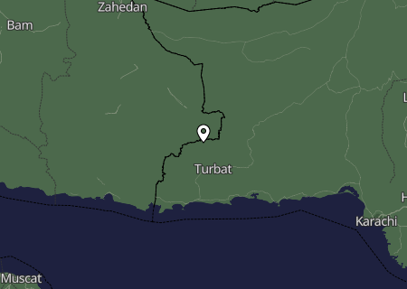 Niederschlagsprognose