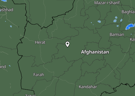 Niederschlagsprognose
