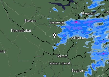 Niederschlagsprognose