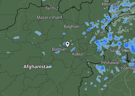 Niederschlagsprognose
