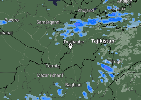 Niederschlagsprognose