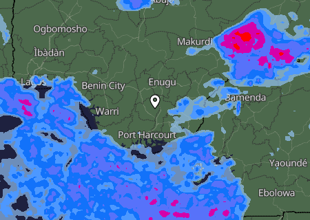 Niederschlagsprognose