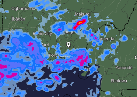 Niederschlagsprognose