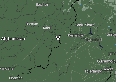 Niederschlagsprognose