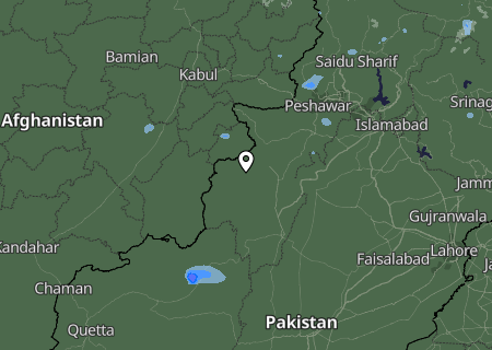 Niederschlagsprognose