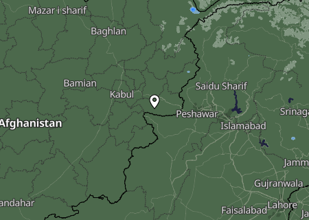 Niederschlagsprognose
