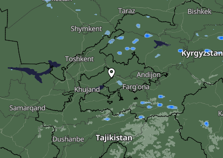 Niederschlagsprognose