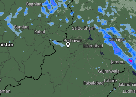 Niederschlagsprognose Niederschlagsprognose