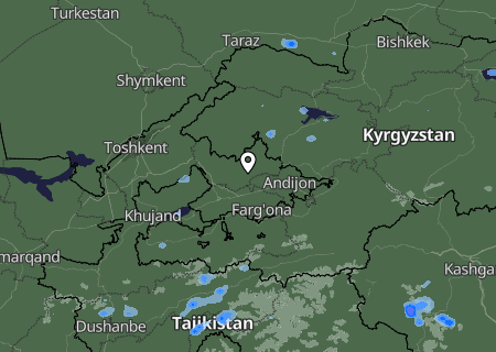 Niederschlagsprognose