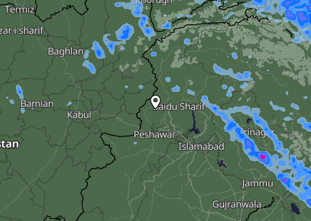 Niederschlagsprognose