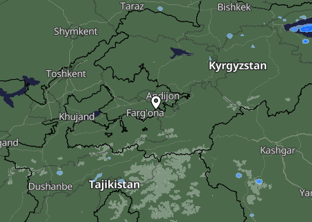 Niederschlagsprognose