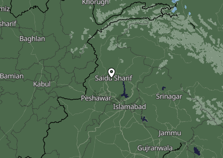 Niederschlagsprognose