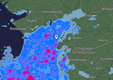 Niederschlagsprognose