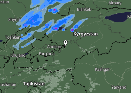 Niederschlagsprognose