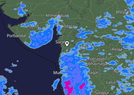 Niederschlagsprognose