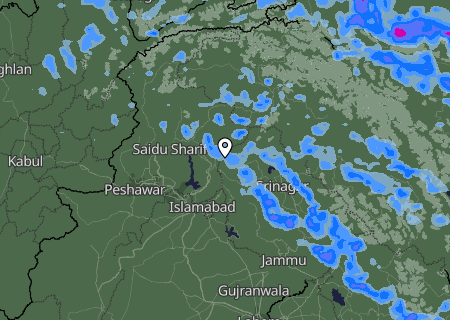 Niederschlagsprognose