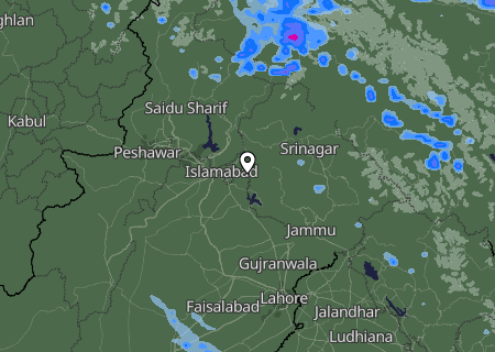 Niederschlagsprognose