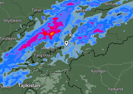 Niederschlagsprognose