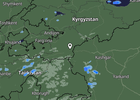 Niederschlagsprognose