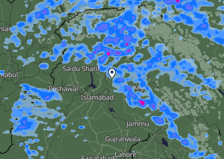 Niederschlagsprognose