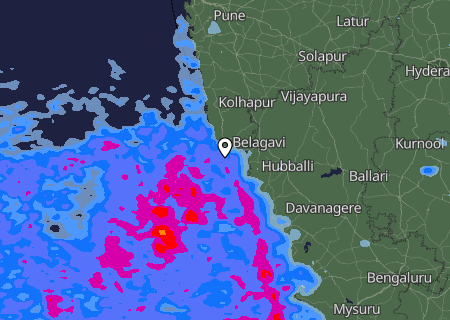 Niederschlagsprognose