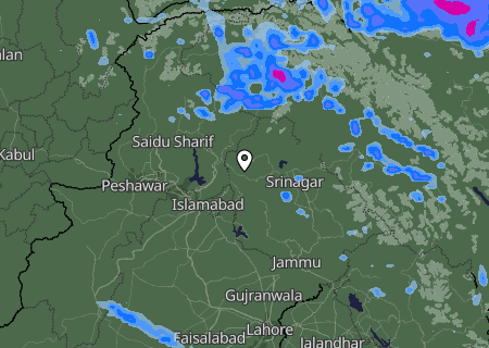 Niederschlagsprognose