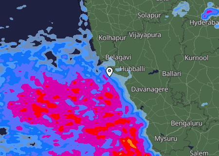 Niederschlagsprognose