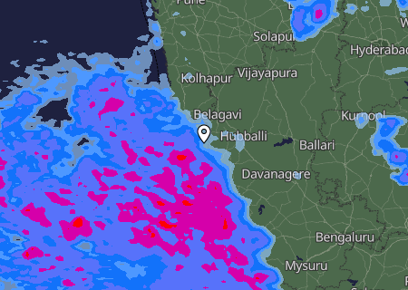 Niederschlagsprognose