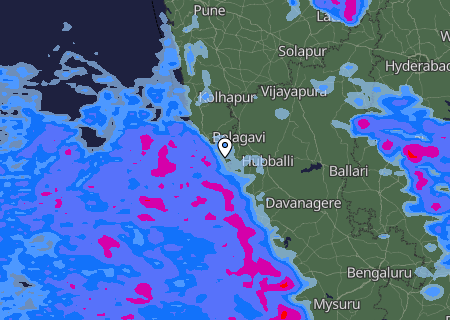 Niederschlagsprognose