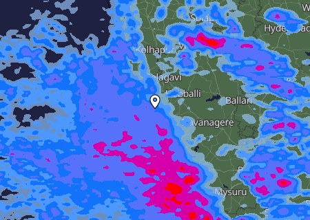 Niederschlagsprognose