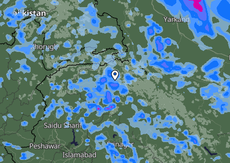 Niederschlagsprognose