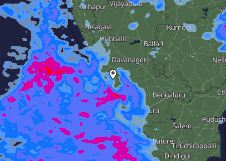 Niederschlagsprognose