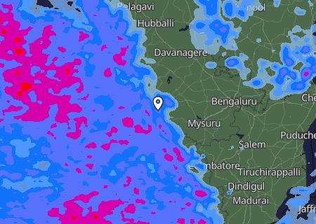 Niederschlagsprognose