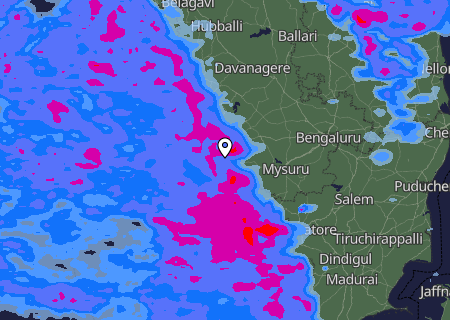 Niederschlagsprognose