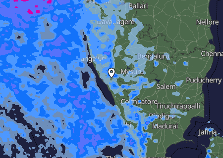 Niederschlagsprognose