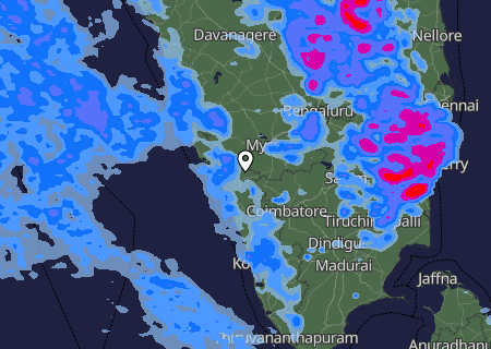 Niederschlagsprognose