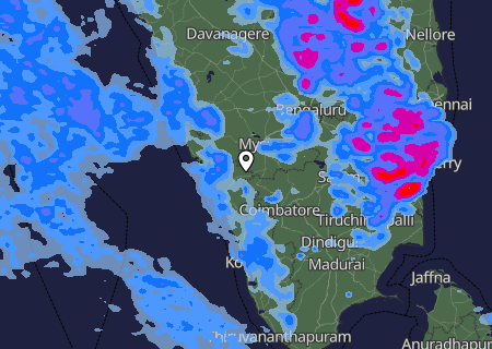 Niederschlagsprognose