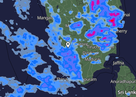 Niederschlagsprognose