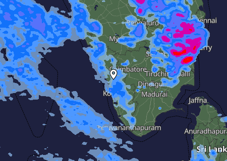 Niederschlagsprognose
