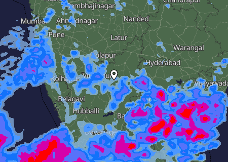 Niederschlagsprognose