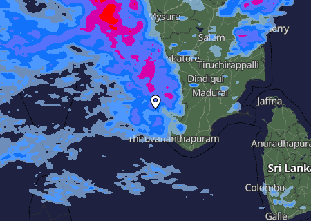 Niederschlagsprognose