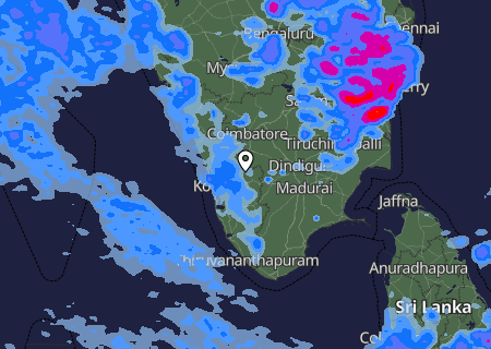 Niederschlagsprognose