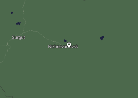 Niederschlagsprognose