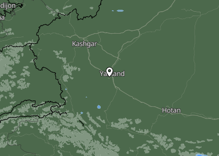 Niederschlagsprognose