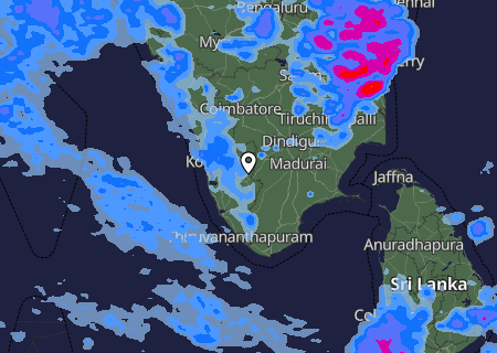 Niederschlagsprognose