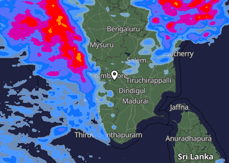Niederschlagsprognose
