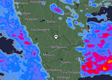 Niederschlagsprognose