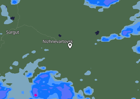 Niederschlagsprognose